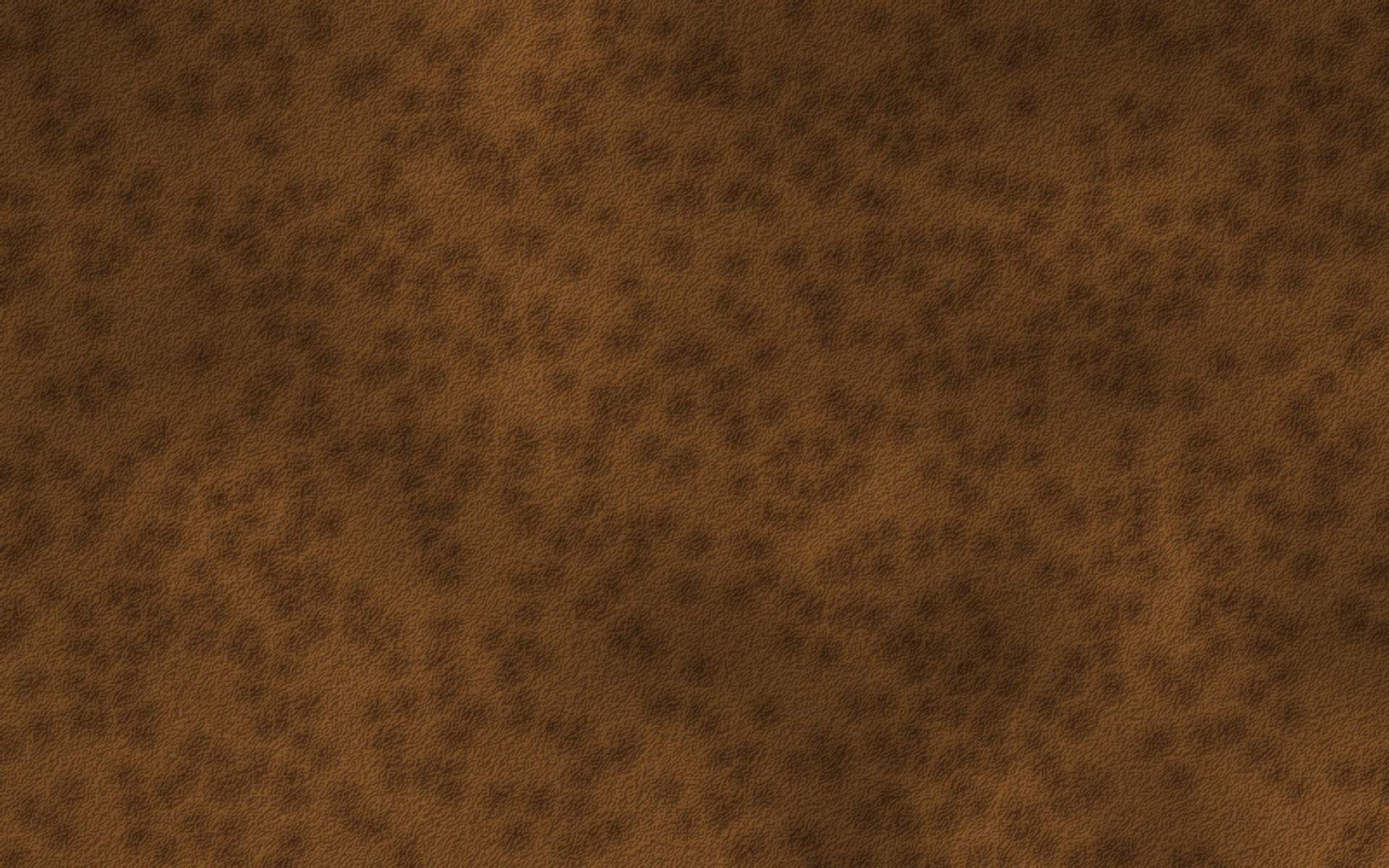 Close-up of tan vegetable-tanned leather grain